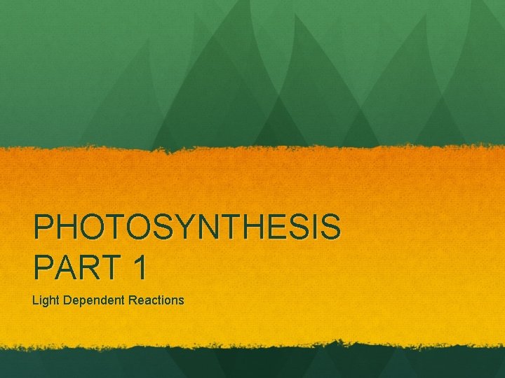 PHOTOSYNTHESIS PART 1 Light Dependent Reactions 