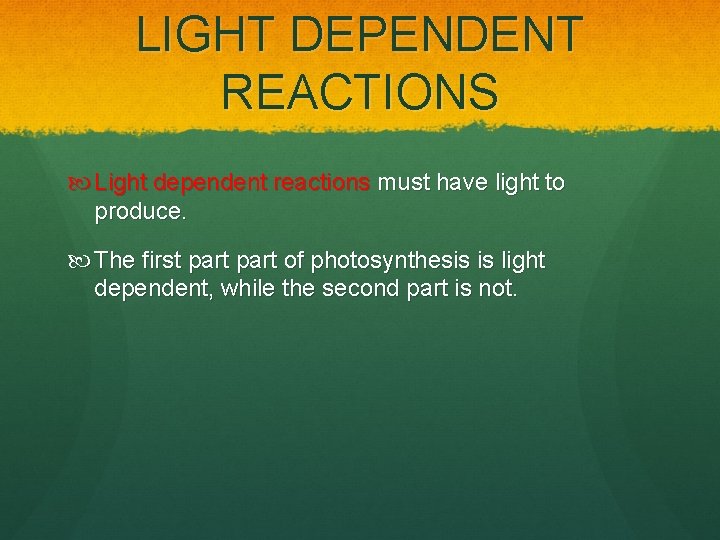 LIGHT DEPENDENT REACTIONS Light dependent reactions must have light to produce. The first part