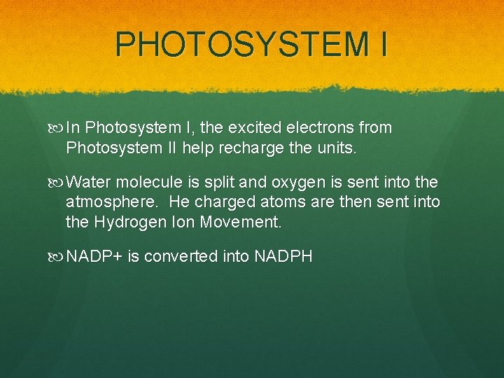 PHOTOSYSTEM I In Photosystem I, the excited electrons from Photosystem II help recharge the