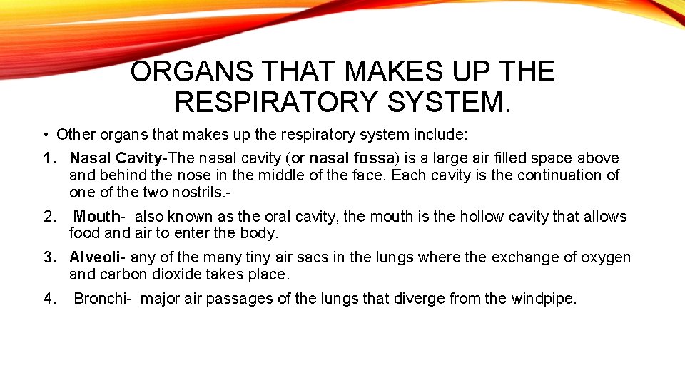 ORGANS THAT MAKES UP THE RESPIRATORY SYSTEM. • Other organs that makes up the