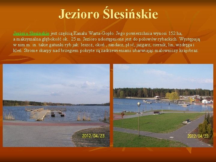 Jezioro Ślesińskie jest częścią Kanału Warta-Gopło. Jego powierzchnia wynosi 152 ha, a maksymalna głębokość