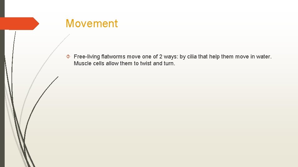 Movement Free-living flatworms move one of 2 ways: by cilia that help them move
