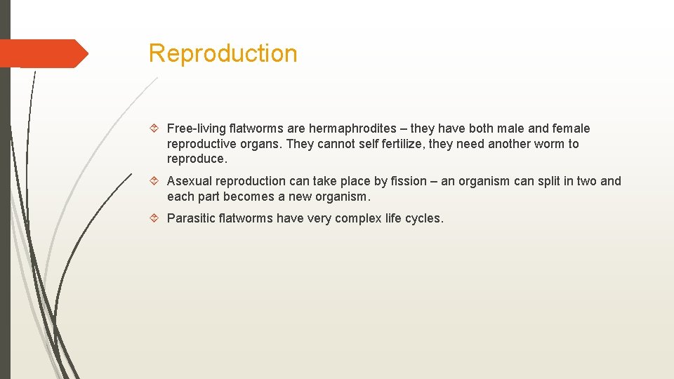 Reproduction Free-living flatworms are hermaphrodites – they have both male and female reproductive organs.