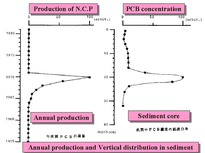 Production of N. C. P Annual production PCB concentration Sediment core Annual production and