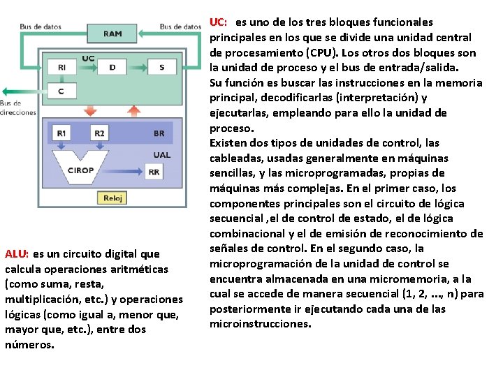 ALU: es un circuito digital que calcula operaciones aritméticas (como suma, resta, multiplicación, etc.