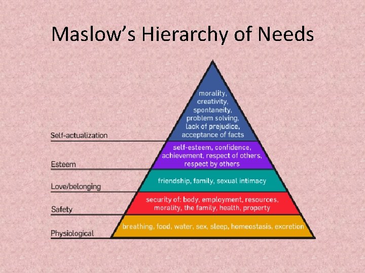 Maslow’s Hierarchy of Needs 