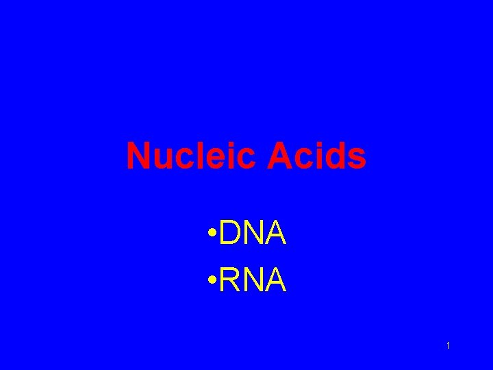 Nucleic Acids • DNA • RNA 1 