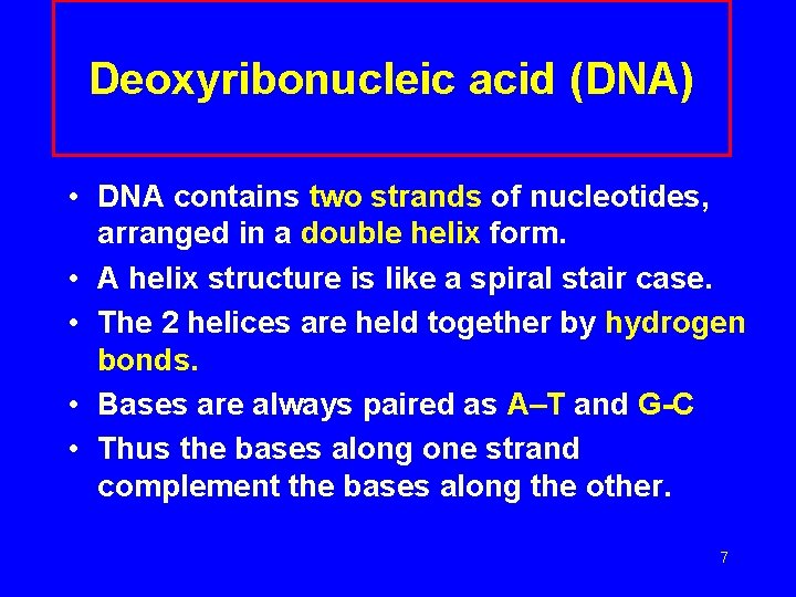 Deoxyribonucleic acid (DNA) • DNA contains two strands of nucleotides, arranged in a double