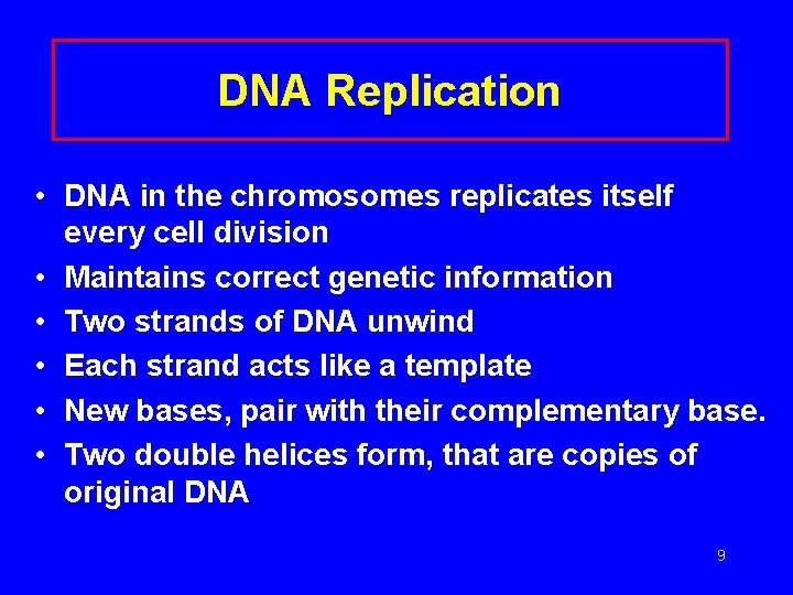 DNA Replication • DNA in the chromosomes replicates itself every cell division • Maintains