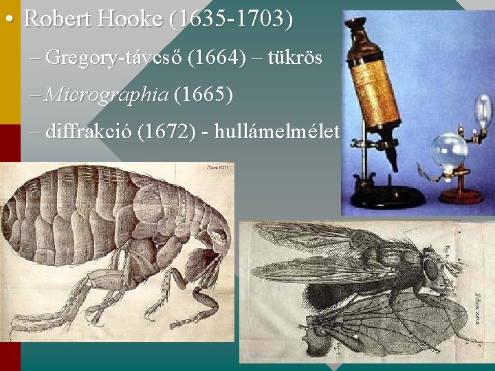  • Robert Hooke (1635 -1703) – Gregory-távcső (1664) – tükrös – Micrographia (1665)