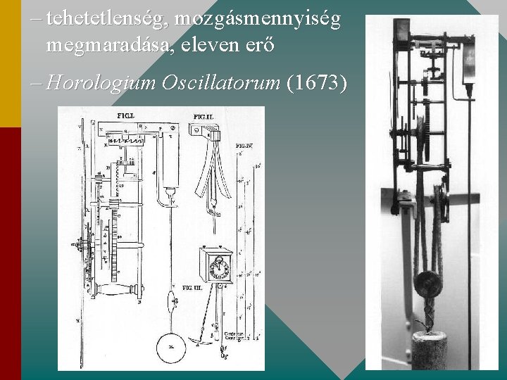– tehetetlenség, mozgásmennyiség megmaradása, eleven erő – Horologium Oscillatorum (1673) 