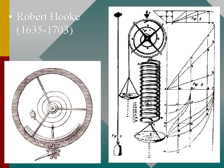  • Robert Hooke (1635 -1703) 