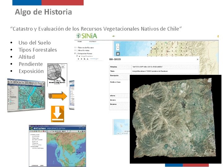 Algo de Historia “Catastro y Evaluación de los Recursos Vegetacionales Nativos de Chile” •