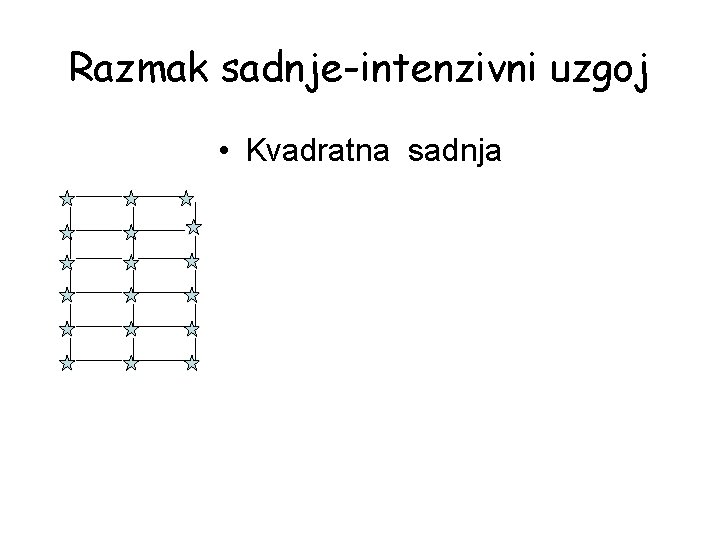 Razmak sadnje-intenzivni uzgoj • Kvadratna sadnja 