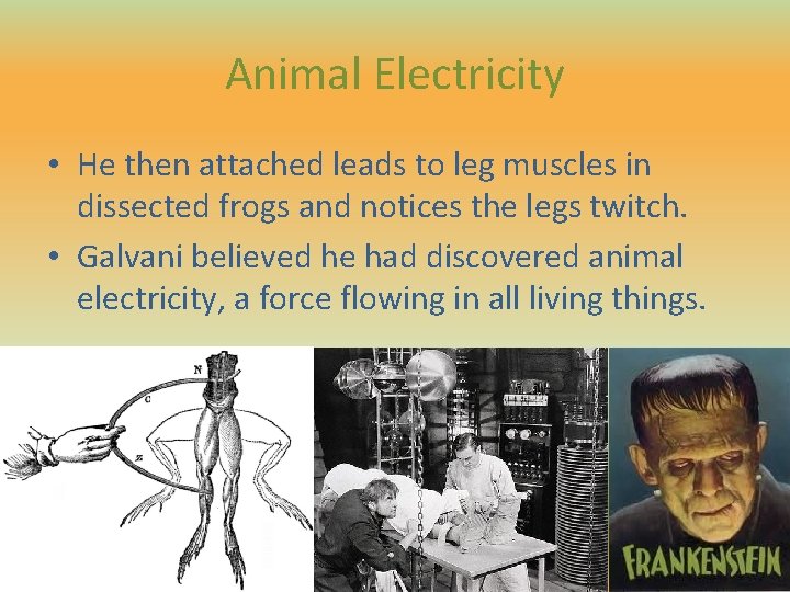 Animal Electricity • He then attached leads to leg muscles in dissected frogs and Animal Electricity • He then attached leads to leg muscles in dissected frogs and