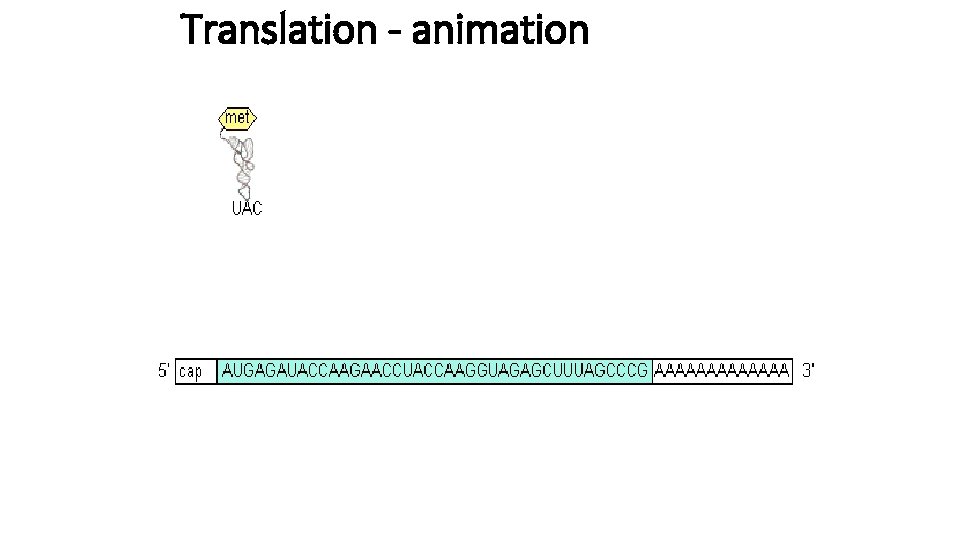 Translation - animation 
