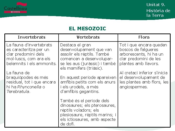 Unitat 9. Història de la Terra EL MESOZOIC Invertebrats Vertebrats Flora La fauna d’invertebrats