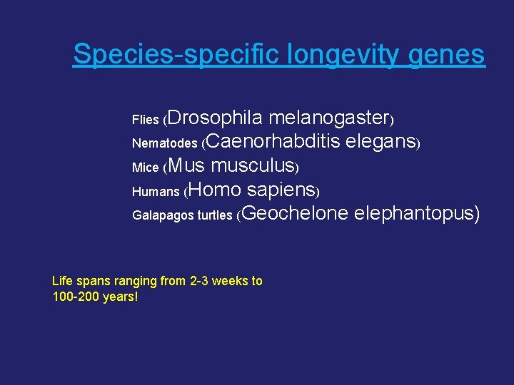 Species-specific longevity genes Flies (Drosophila melanogaster) Nematodes (Caenorhabditis elegans) Mice (Mus musculus) Humans (Homo