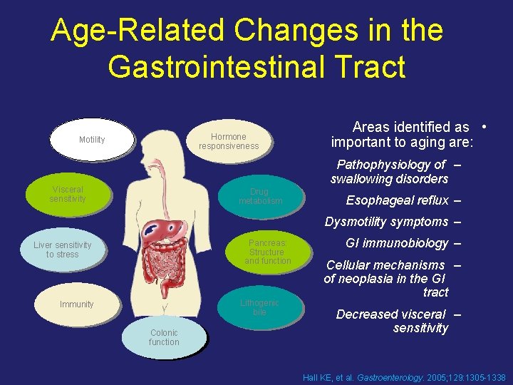 Age-Related Changes in the Gastrointestinal Tract Hormone responsiveness Motility Areas identified as • important