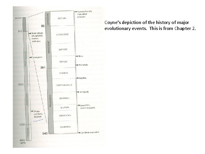 Coyne's depiction of the history of major evolutionary events. This is from Chapter 2.