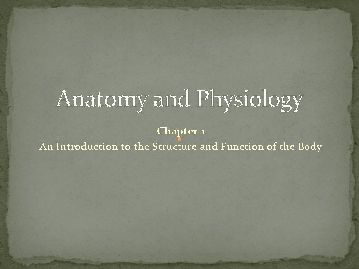 Anatomy and Physiology Chapter 1 An Introduction to