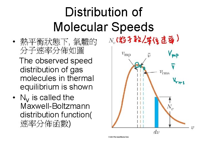 Distribution of Molecular Speeds • 熱平衡狀態下, 氣體的 分子速率分佈如圖 The observed speed distribution of gas