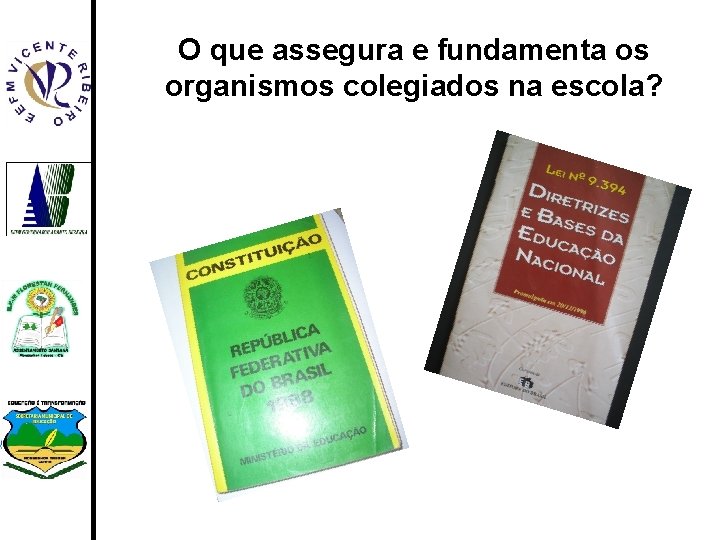 O que assegura e fundamenta os organismos colegiados na escola? 