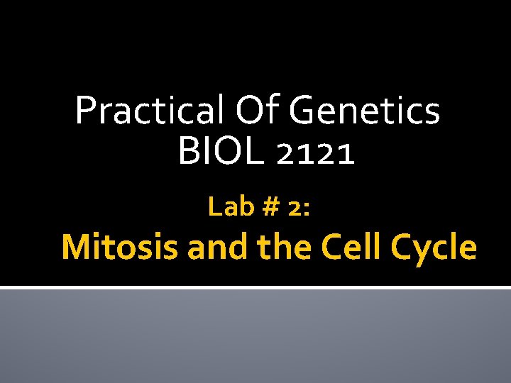 Practical Of Genetics BIOL 2121 Lab # 2: Mitosis and the Cell Cycle 