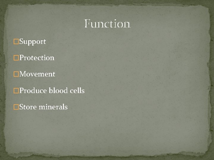 Function �Support �Protection �Movement �Produce blood cells �Store minerals 