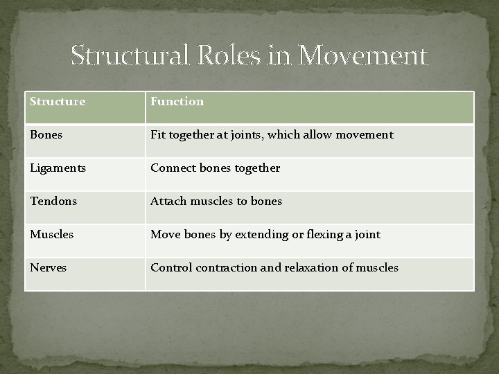 Structural Roles in Movement Structure Function Bones Fit together at joints, which allow movement