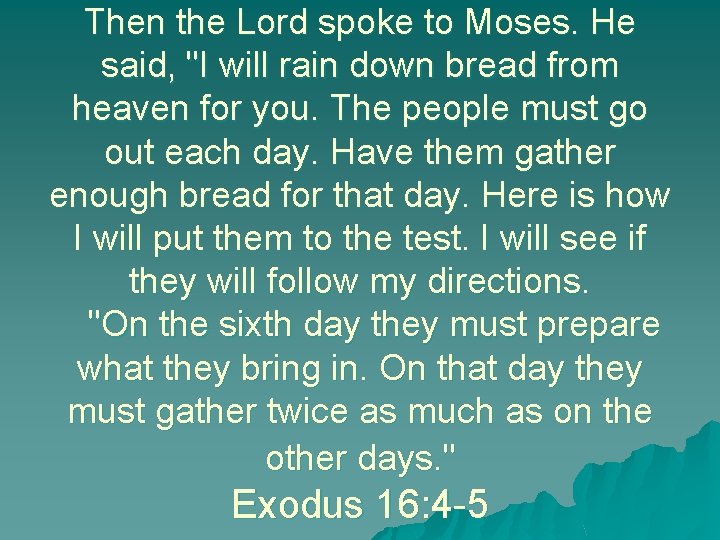 Then the Lord spoke to Moses. He said, "I will rain down bread from