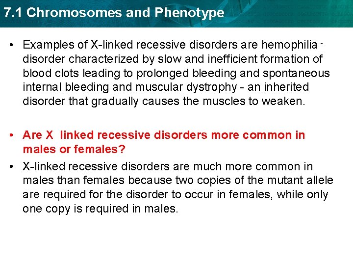 7. 1 Chromosomes and Phenotype • Examples of X-linked recessive disorders are hemophilia disorder