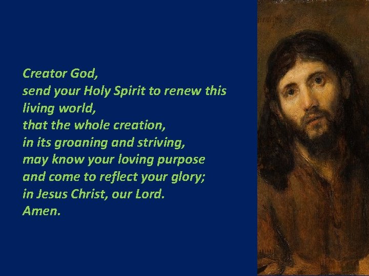 Creator God, send your Holy Spirit to renew this living world, that the whole