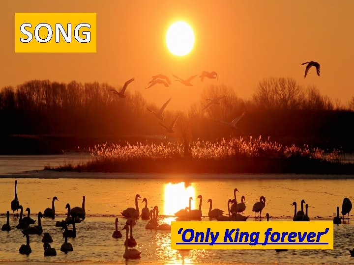 SONG ‘Only King forever’ 