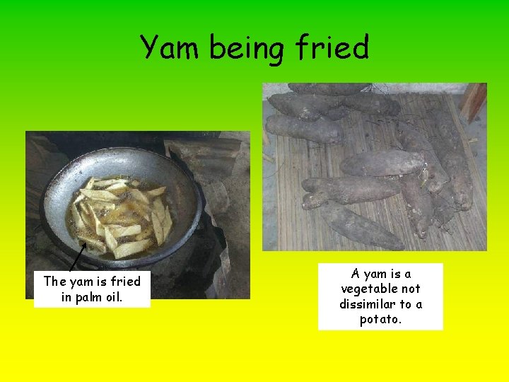 Yam being fried The yam is fried in palm oil. A yam is a