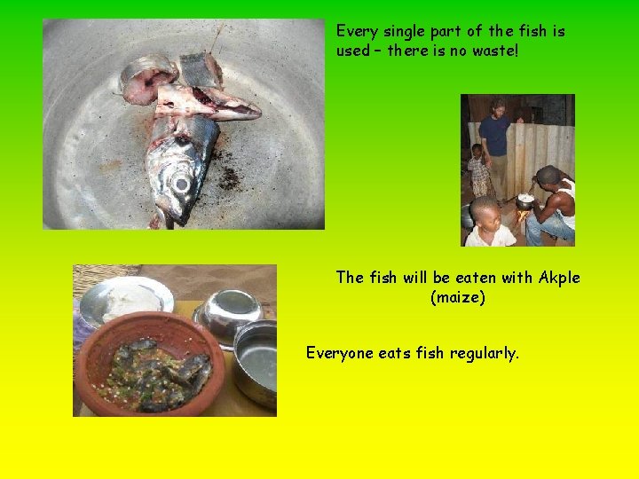 Every single part of the fish is used – there is no waste! The