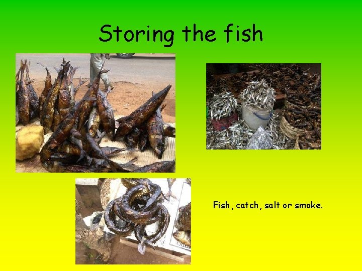 Storing the fish Fish, catch, salt or smoke. 