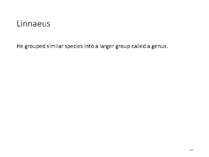 Linnaeus He grouped similar species into a larger group called a genus. 13 