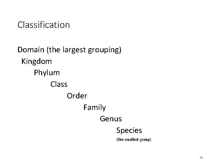 Classification Domain (the largest grouping) Kingdom Phylum Class Order Family Genus Species (the smallest