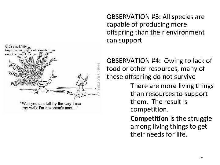 OBSERVATION #3: All species are capable of producing more offspring than their environment can