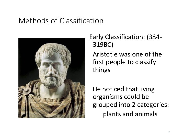 Methods of Classification Early Classification: (384319 BC) Aristotle was one of the first people