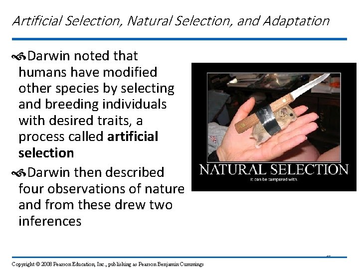 Artificial Selection, Natural Selection, and Adaptation Darwin noted that humans have modified other species