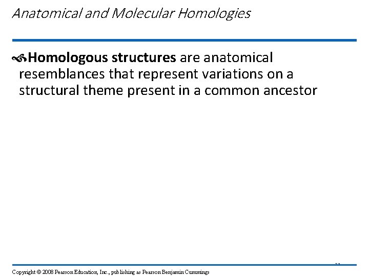 Anatomical and Molecular Homologies Homologous structures are anatomical resemblances that represent variations on a
