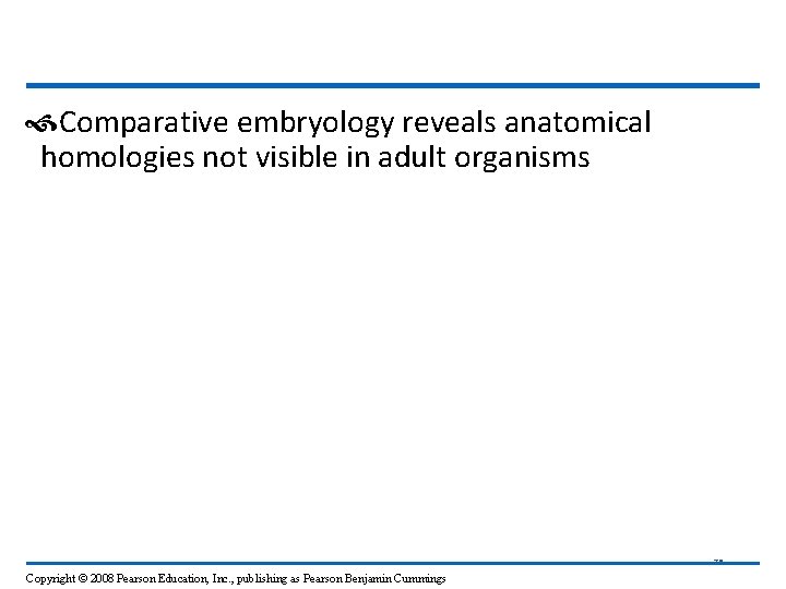  Comparative embryology reveals anatomical homologies not visible in adult organisms 75 Copyright ©