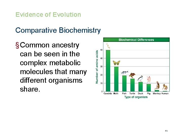 Evolution Evidence of Evolution Comparative Biochemistry § Common ancestry can be seen in the