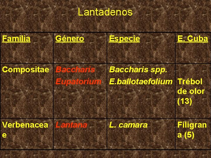 Lantadenos Familia Género Especie E. Cuba Compositae Baccharis spp. Eupatorium E. ballotaefolium Trébol de
