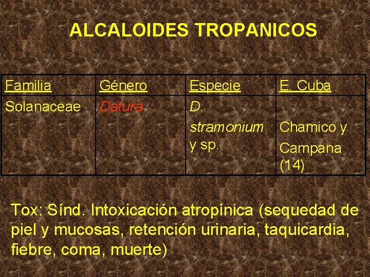 ALCALOIDES TROPANICOS Familia Solanaceae Género Datura Especie D. stramonium y sp. E. Cuba Chamico