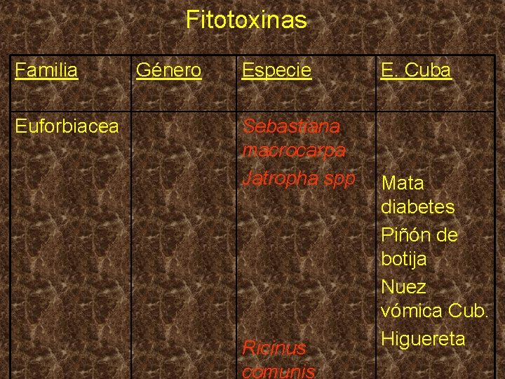 Fitotoxinas Familia Euforbiacea Género Especie Sebastiana macrocarpa Jatropha spp Ricinus comunis E. Cuba Mata