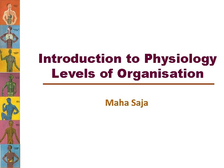 Introduction to Physiology Levels of Organisation Maha Saja 