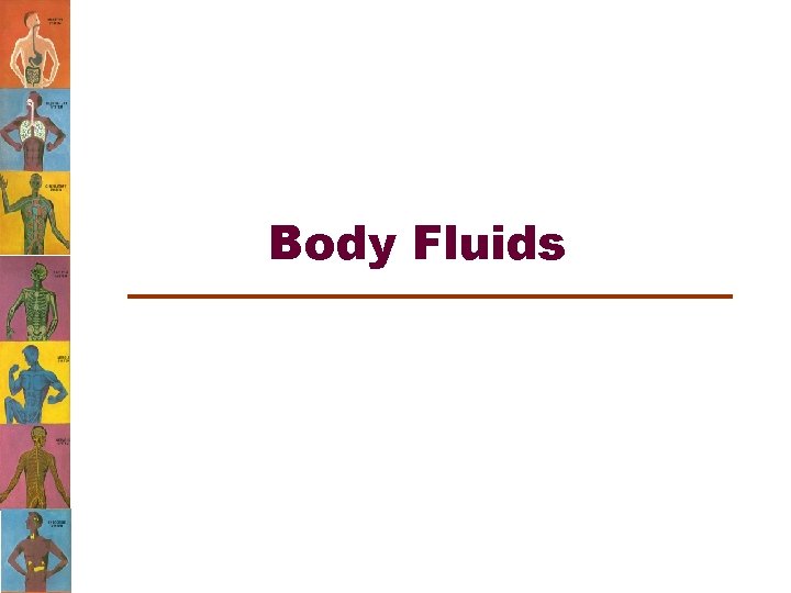 Body Fluids 